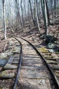 Old Reconstructed Logging Railroad, Blue Ridge Parkway Ã¢â¬â MP 34.4